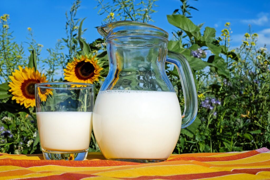 Produkty mleczne – jaki mają wpływ na zdrowie oraz kiedy warto po nie sięgnąć?